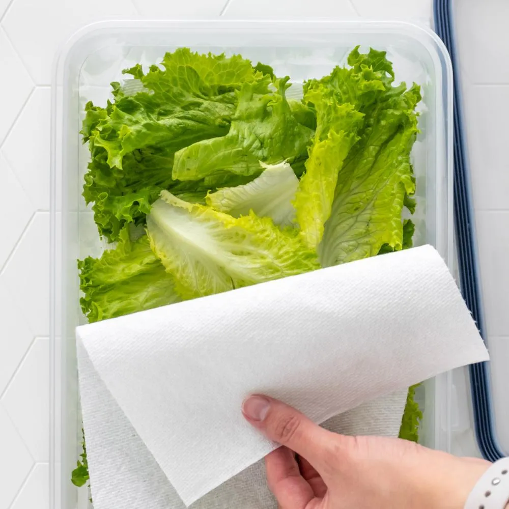 COMO CONSERVAR FRUTAS, VERDURAS E LEGUMES DO JEITO CERTO