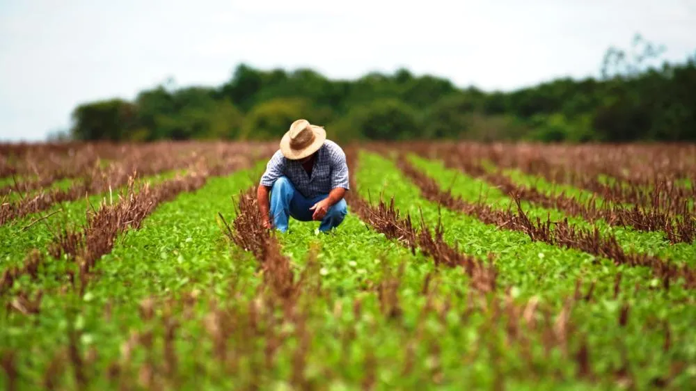 PROGRAMA ALI RURAL PROMOVE ENCONTRO SOBRE CRÉDITO E INCENTIVOS